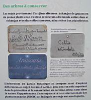 16a - L'arboretum du Jardin Botanique (2).jpg